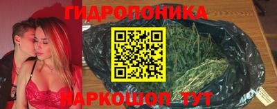 хмурый Абакан