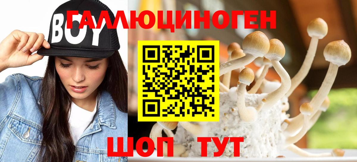 Псилоцибиновые грибы ЛСД Апатиты