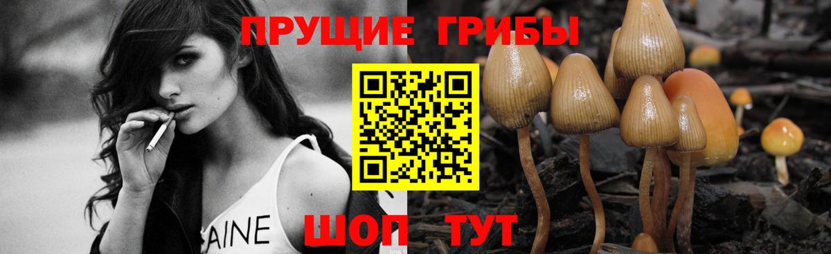 Галлюциногенные грибы мицелий  Псилоцибиновые грибы мицелий  Вход с VPN  Апатиты 